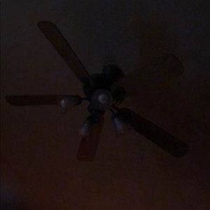 Meet your Posher, Zack